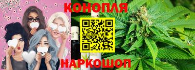 сатива Будённовск