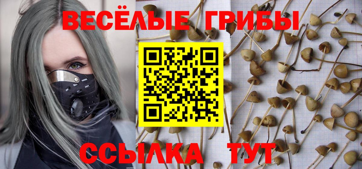 Нарткала  Псилоцибиновые грибы мухоморы  Псилоцибиновые грибы Psilocybine cubensis  Вход с VPN 