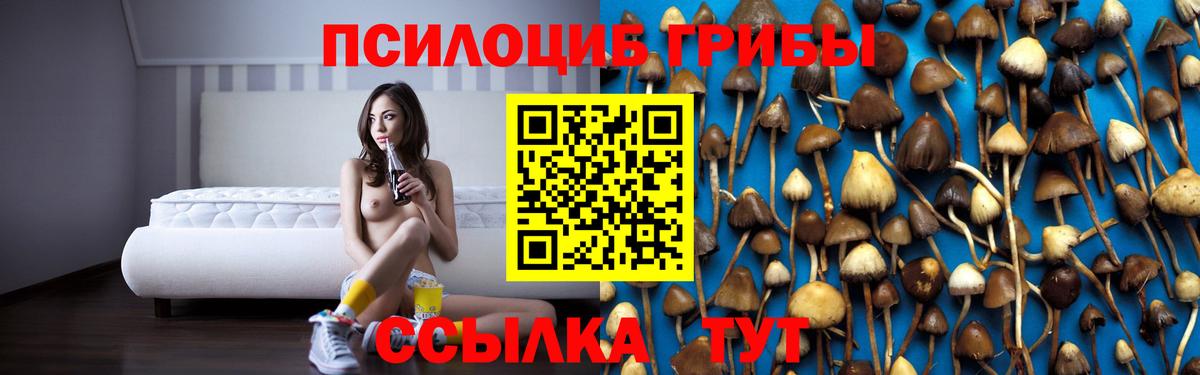 Псилоцибиновые грибы прущие грибы Нарткала